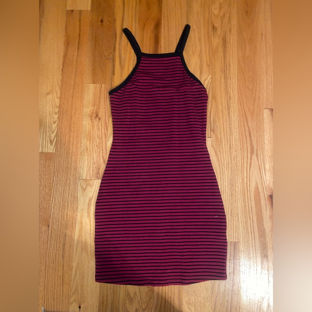 Express Garnet and Black Striped Dress